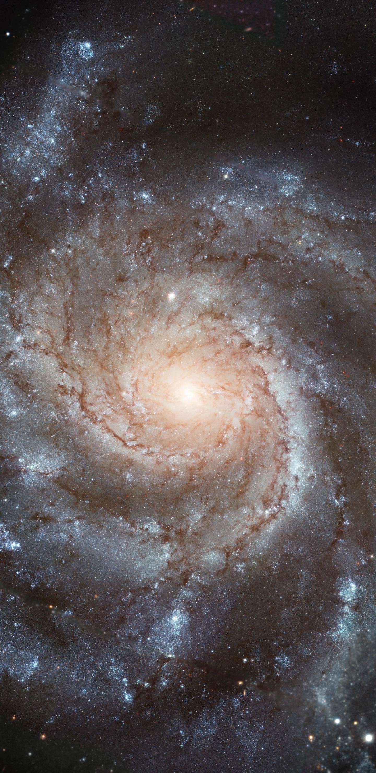螺旋星系, 哈勃太空望远镜, 天文学, 天文学对象, 宇宙 壁纸 1440x2960 允许