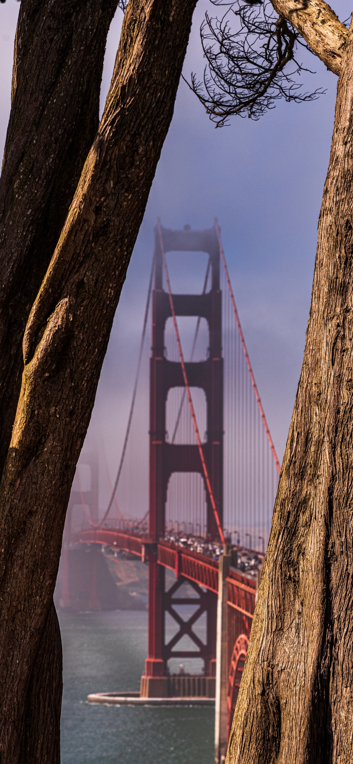 Puente Golden Gate Bajo un Cielo Azul Durante el Día. Wallpaper in 1125x2436 Resolution