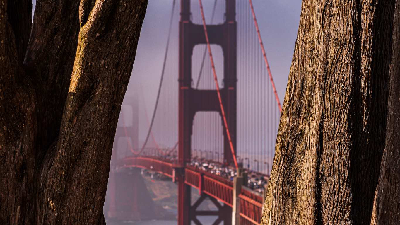 Puente Golden Gate Bajo un Cielo Azul Durante el Día. Wallpaper in 1366x768 Resolution