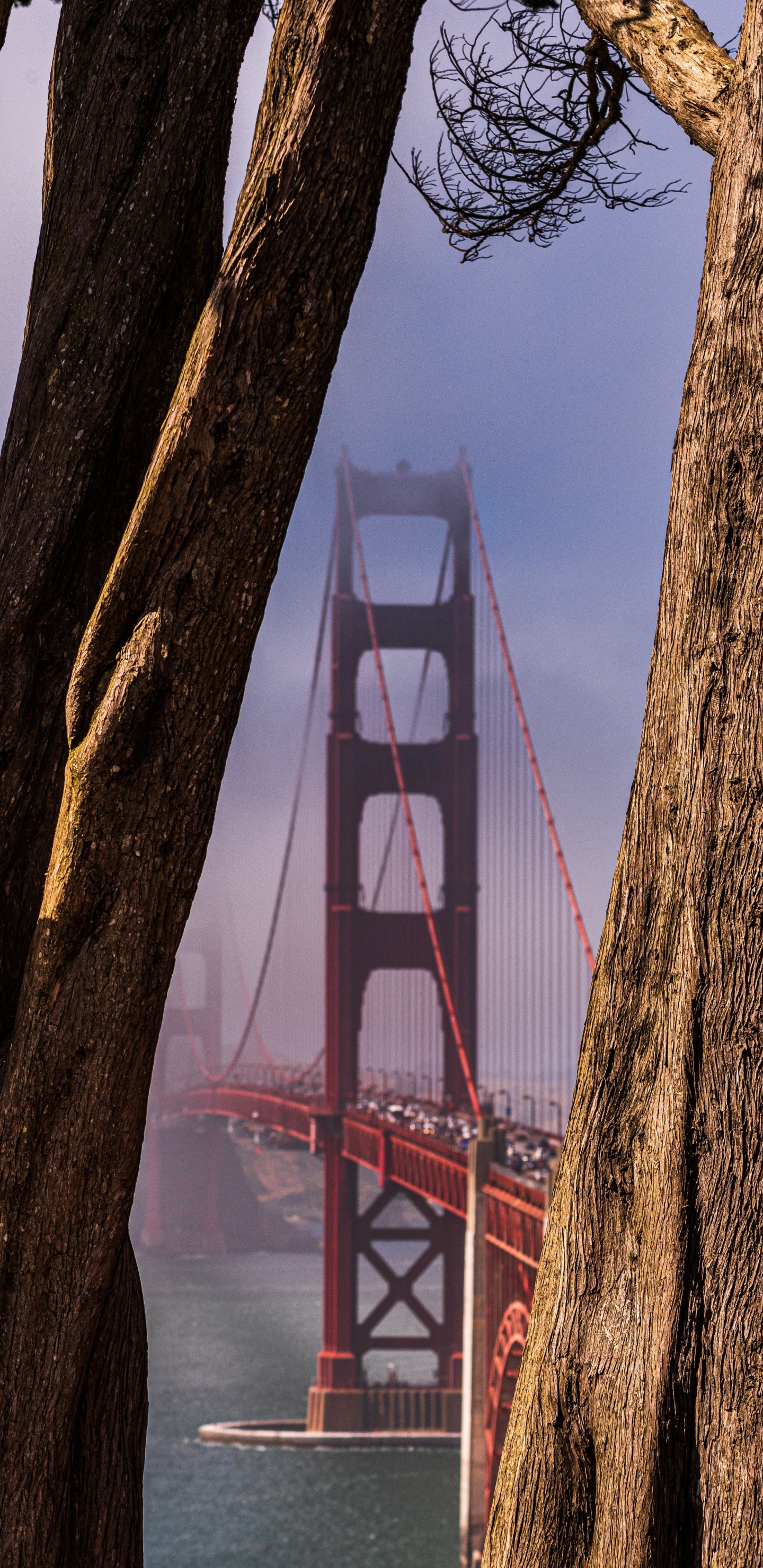 Golden Gate Bridge Unter Blauem Himmel Tagsüber. Wallpaper in 1440x2960 Resolution