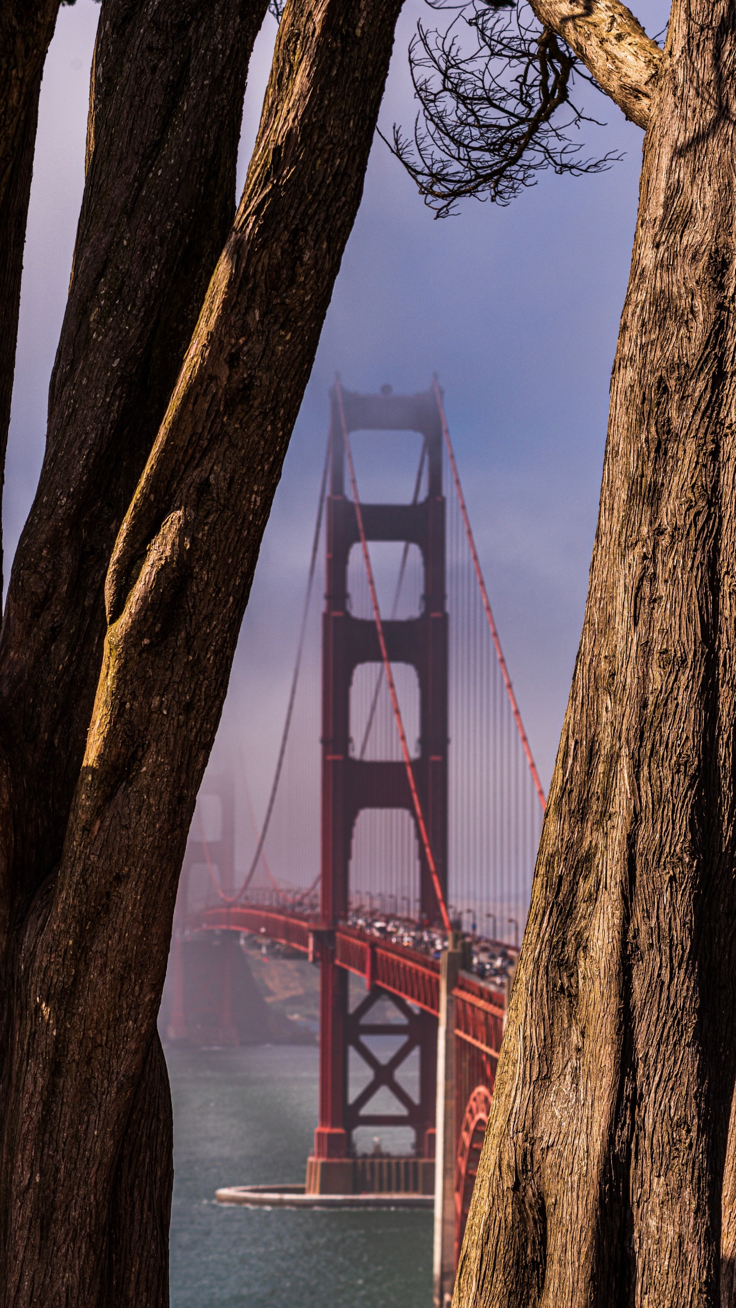 Golden Gate Bridge Under Blue Sky During Daytime. Wallpaper in 1440x2560 Resolution