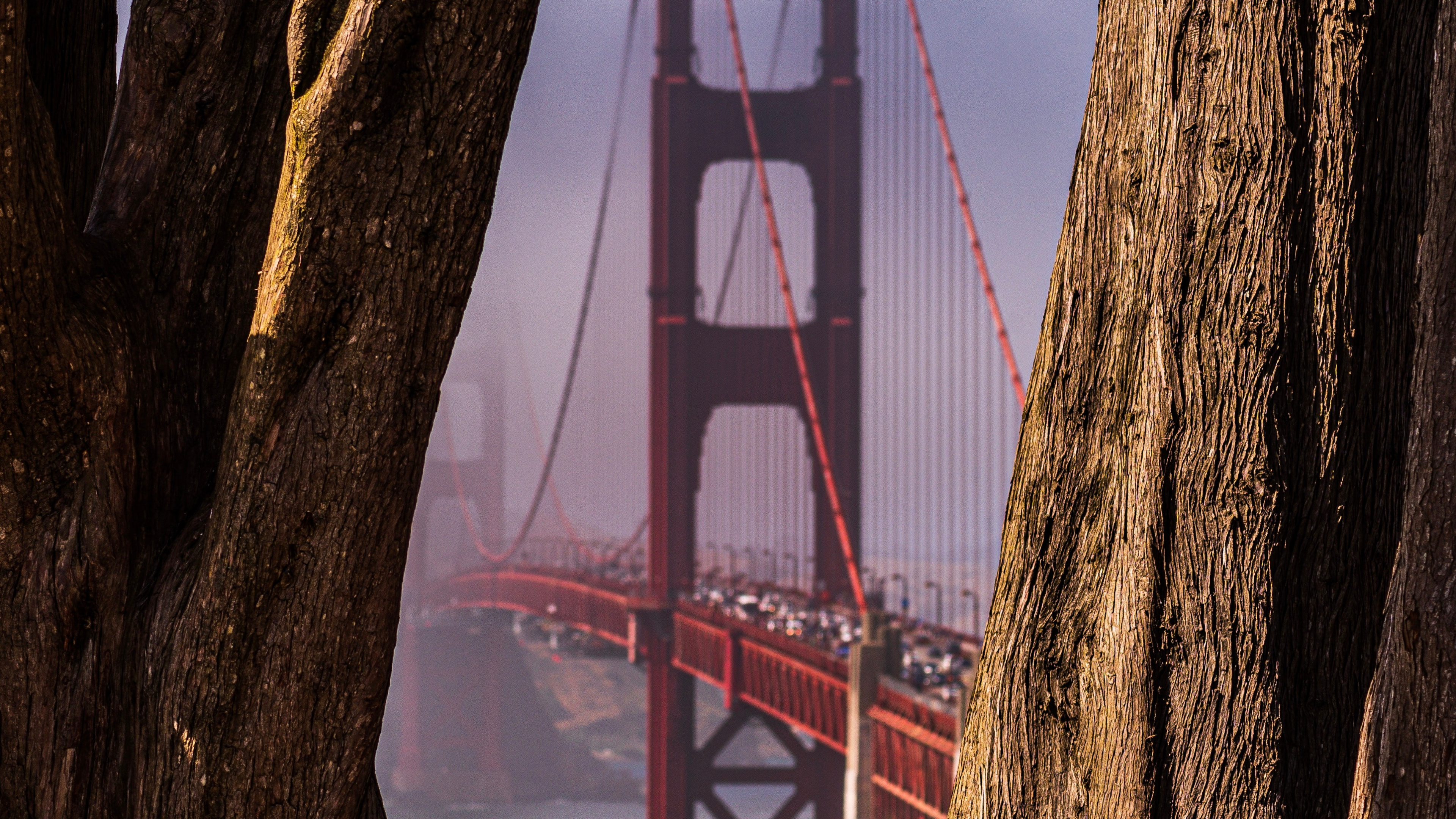 Golden Gate Bridge Under Blue Sky During Daytime. Wallpaper in 3840x2160 Resolution