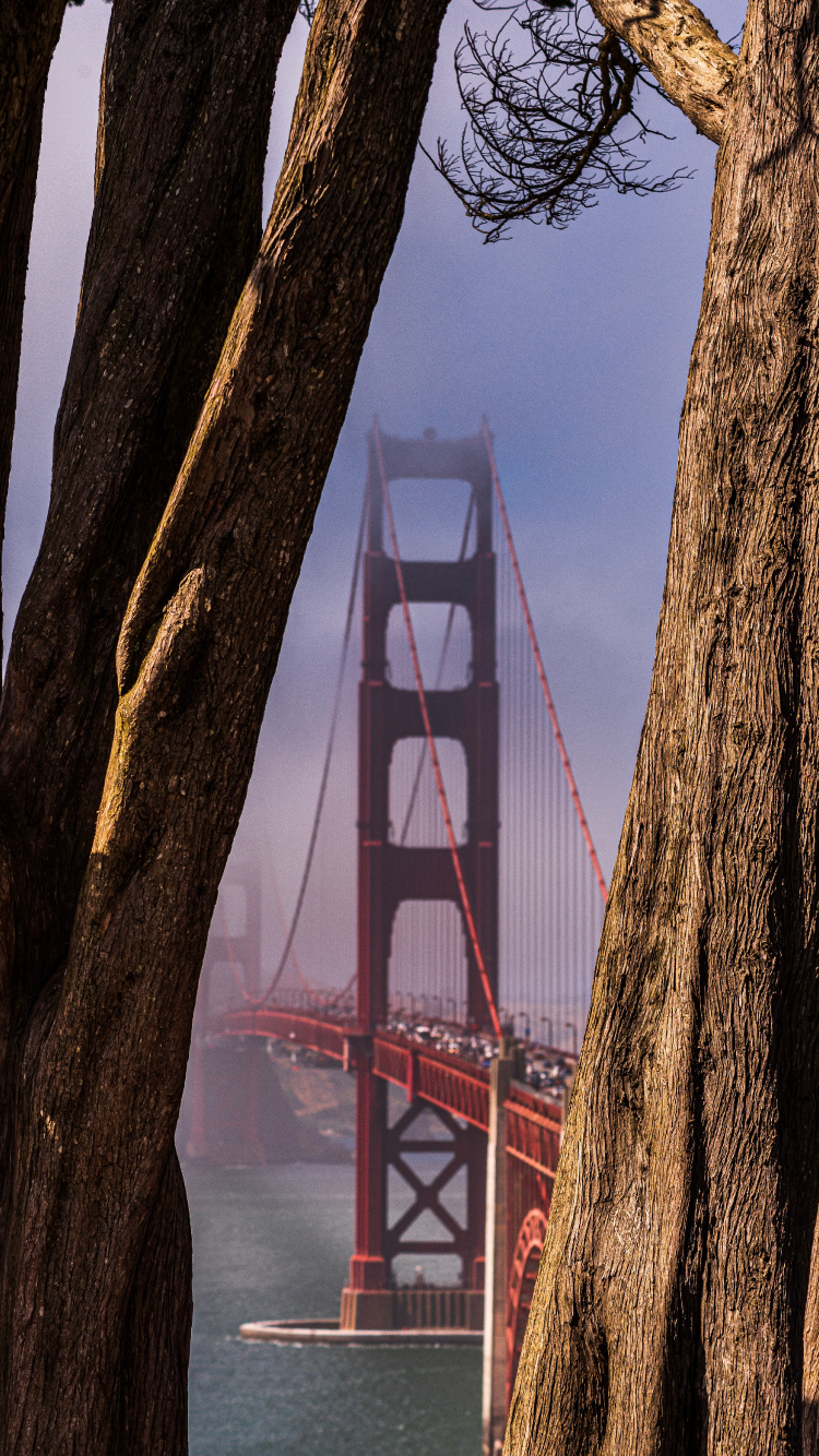 Golden Gate Bridge Under Blue Sky During Daytime. Wallpaper in 750x1334 Resolution