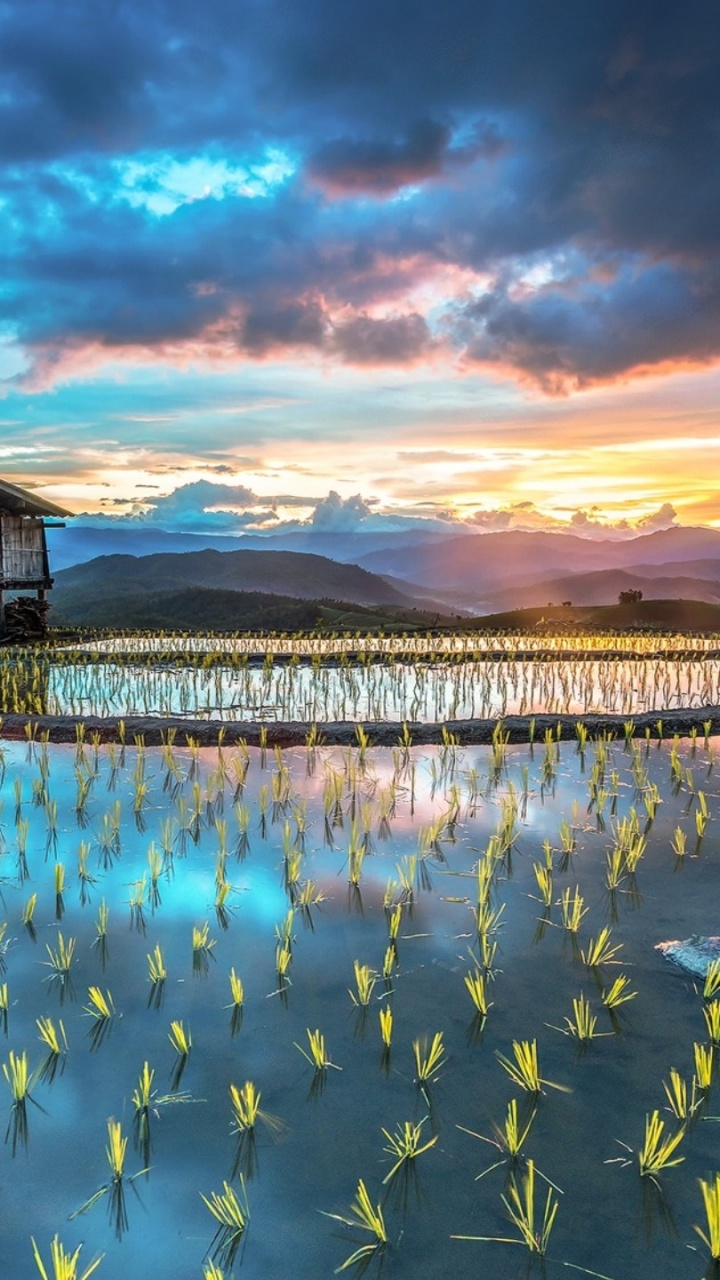 Casa de Madera Marrón en el Cuerpo de Agua Durante el Día. Wallpaper in 720x1280 Resolution