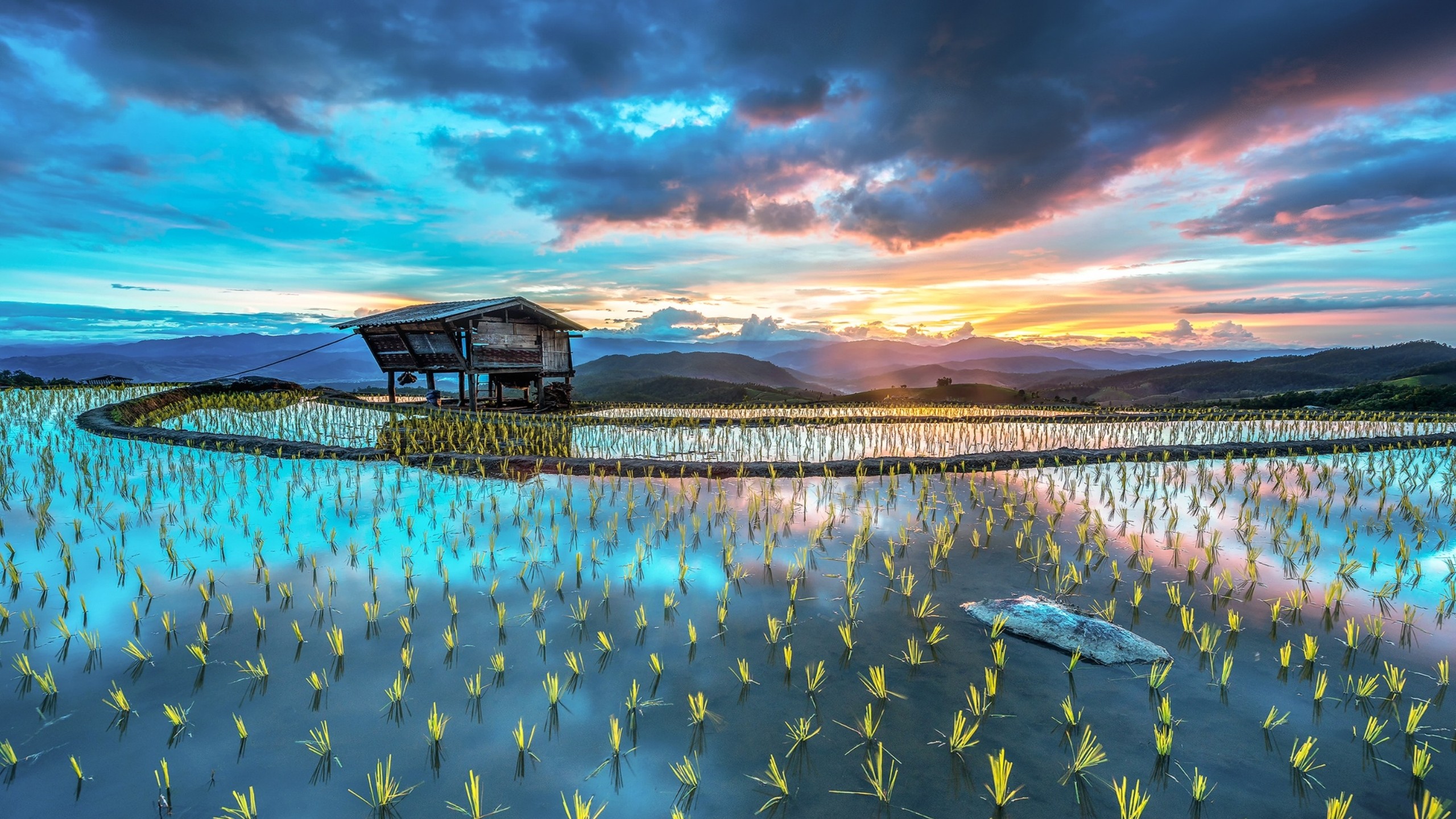 Brown Wooden House on Body of Water During Daytime. Wallpaper in 2560x1440 Resolution