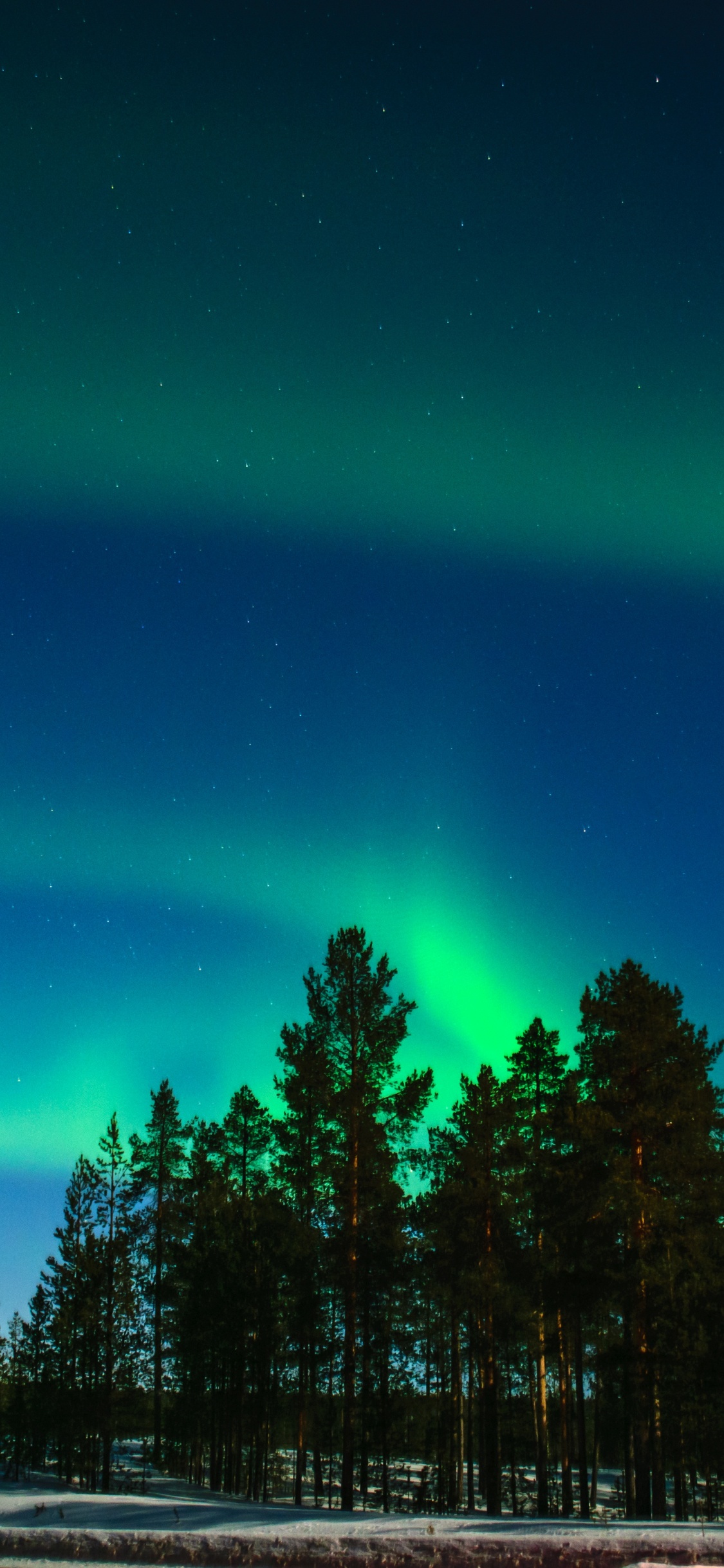 Rovaniemi, Aurora, Natur, Baum, Gr. Wallpaper in 1125x2436 Resolution