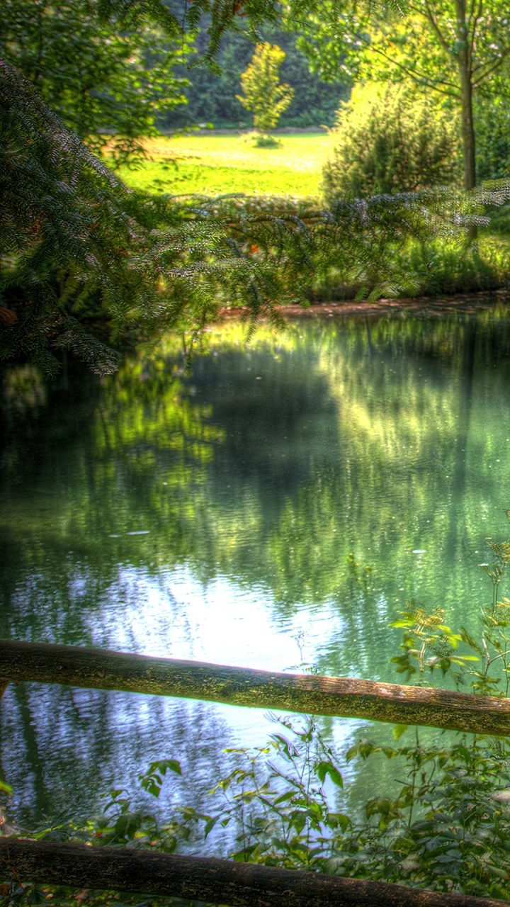 Arbres Verts à Côté D'un Plan D'eau Pendant la Journée. Wallpaper in 720x1280 Resolution