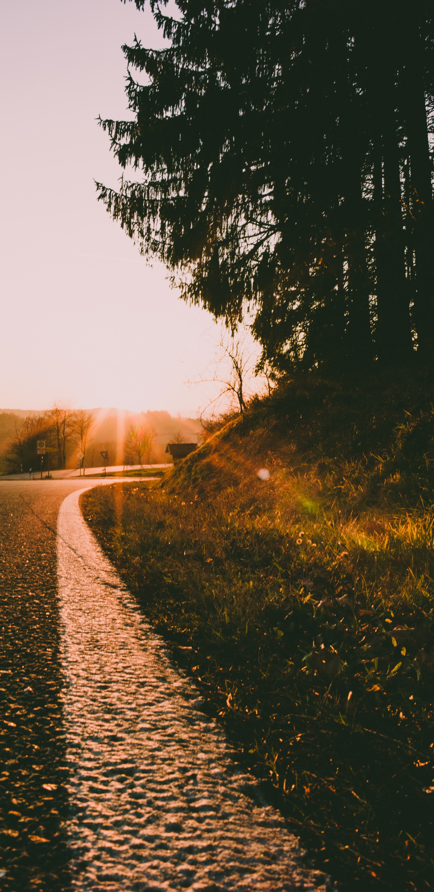 Carretera, Mañana, Puesta, Naturaleza, Paisaje Natural. Wallpaper in 1440x2960 Resolution