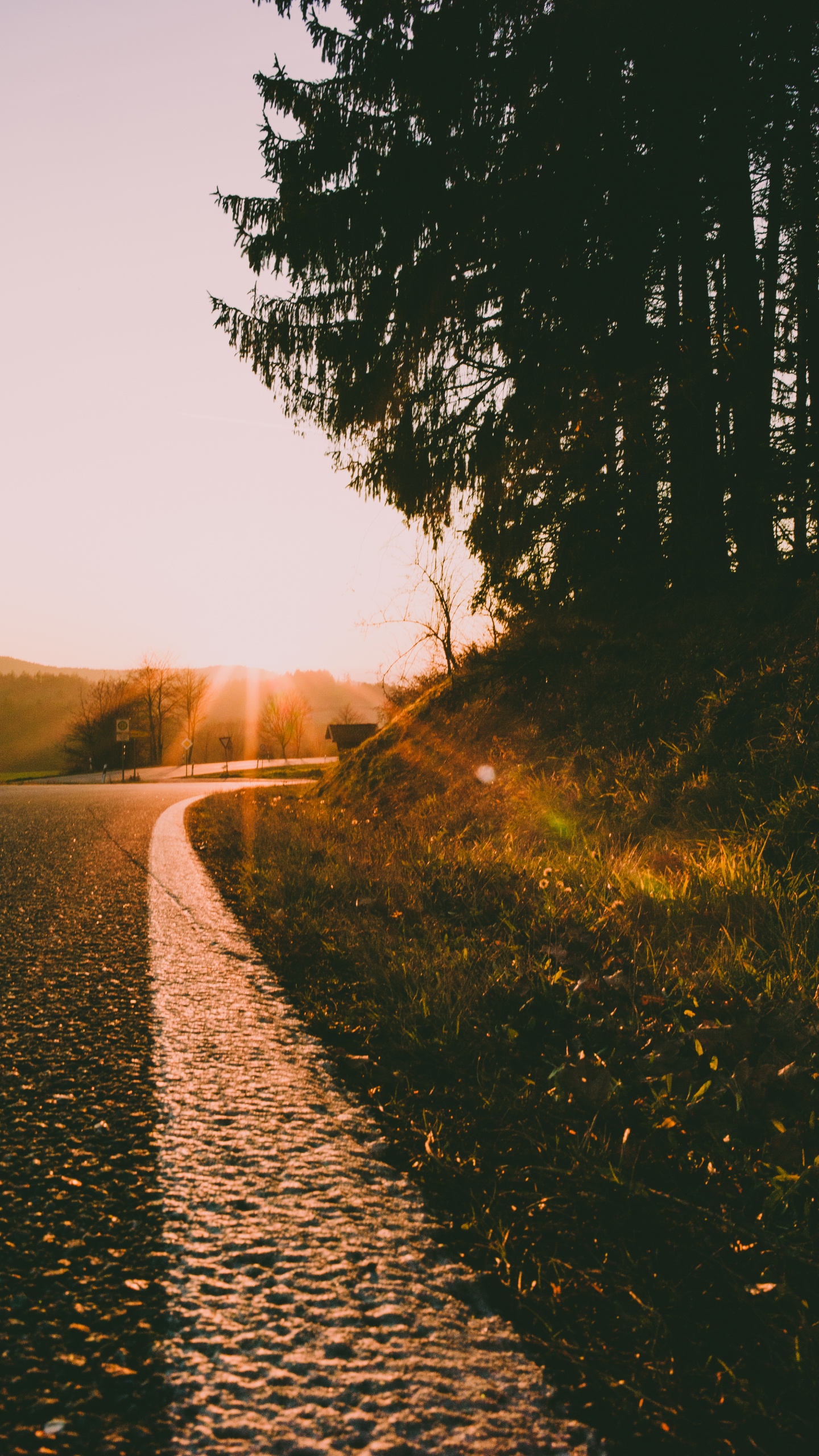 Road, Morgen, Sonnenuntergang, Sonnenaufgang, Natur. Wallpaper in 1440x2560 Resolution
