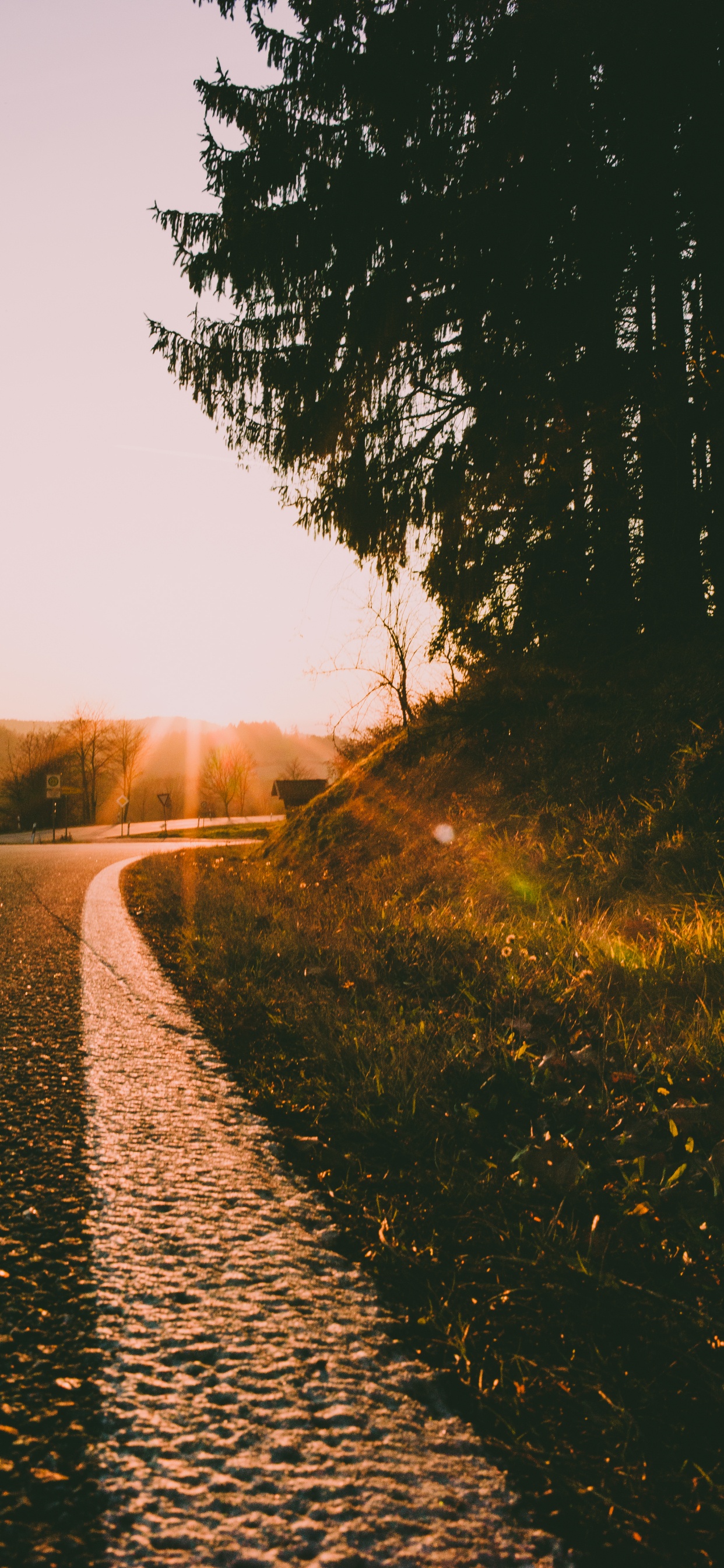 Road, Morning, Sunset, Sunrise, Nature. Wallpaper in 1242x2688 Resolution