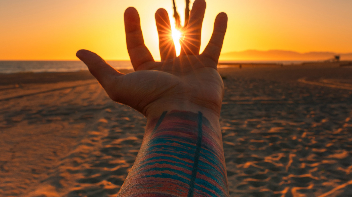 Beach, Los Angeles, Sunset, Water, Tattoos. Wallpaper in 1366x768 Resolution