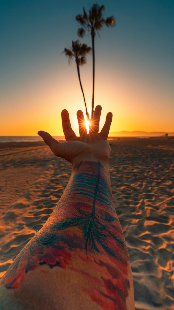 Plage, Los Angeles, Eau, Tatouage, Color. Wallpaper in 720x1280 Resolution