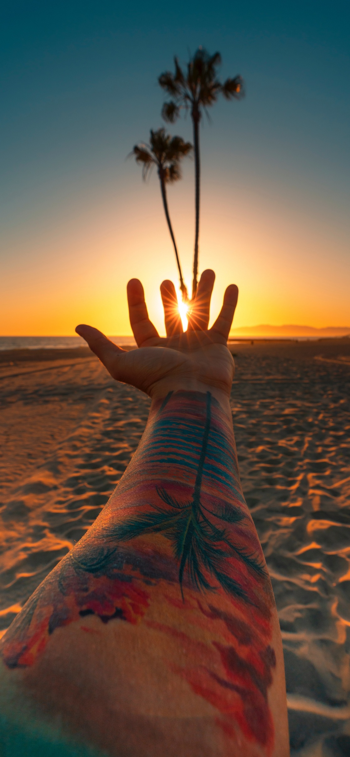 Strand, Los Angeles, Sonnenuntergang, Wasser, Tattoo. Wallpaper in 1125x2436 Resolution