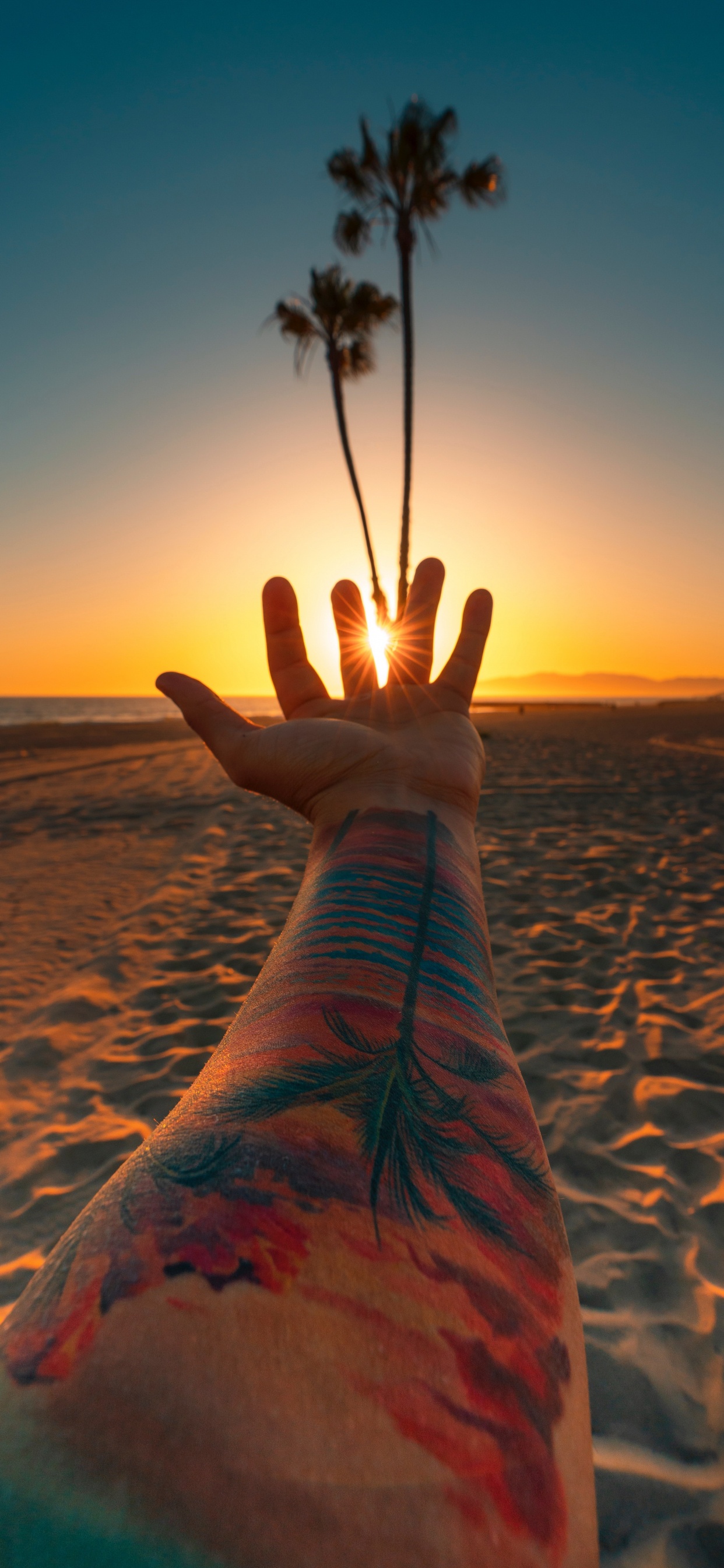 Strand, Los Angeles, Sonnenuntergang, Wasser, Tattoo. Wallpaper in 1242x2688 Resolution