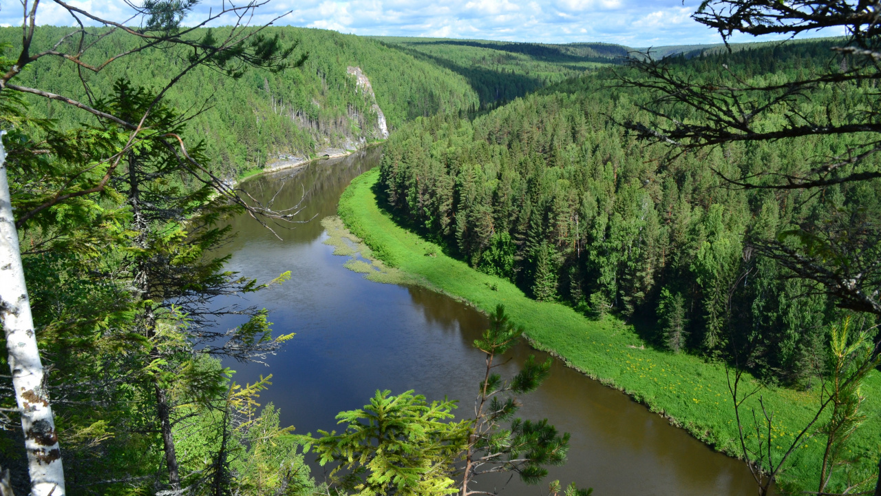Green Trees Near River During Daytime. Wallpaper in 1280x720 Resolution