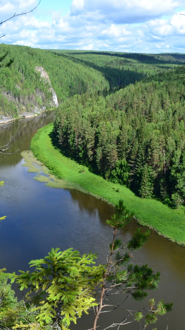 Green Trees Near River During Daytime. Wallpaper in 720x1280 Resolution