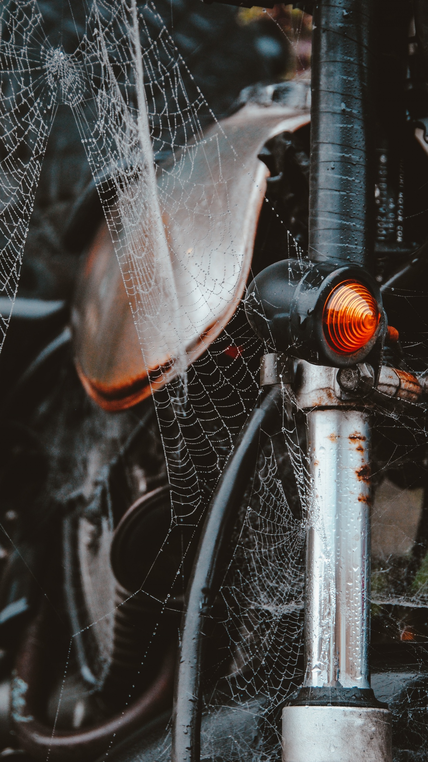 Spider Web on Bicycle Wheel. Wallpaper in 1440x2560 Resolution