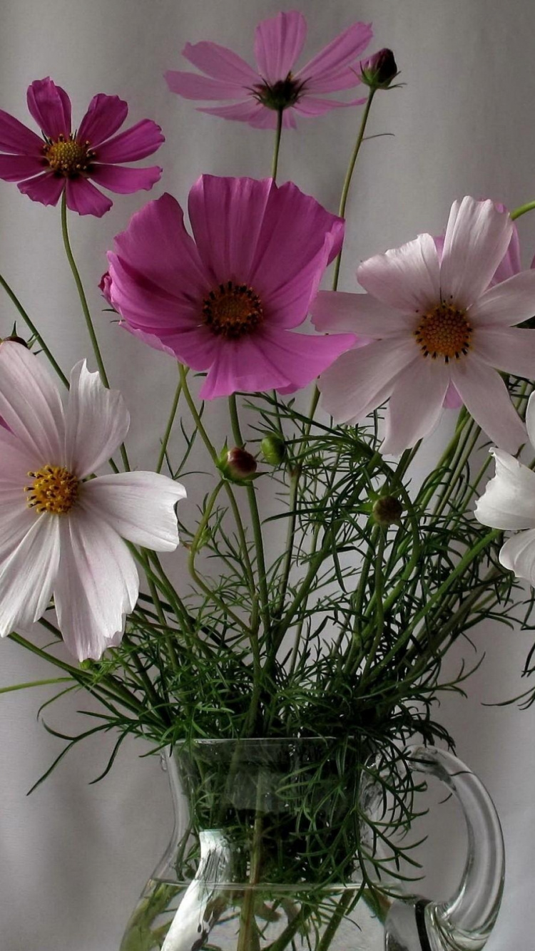 Lila Blumen in Klarer Glasvase. Wallpaper in 750x1334 Resolution