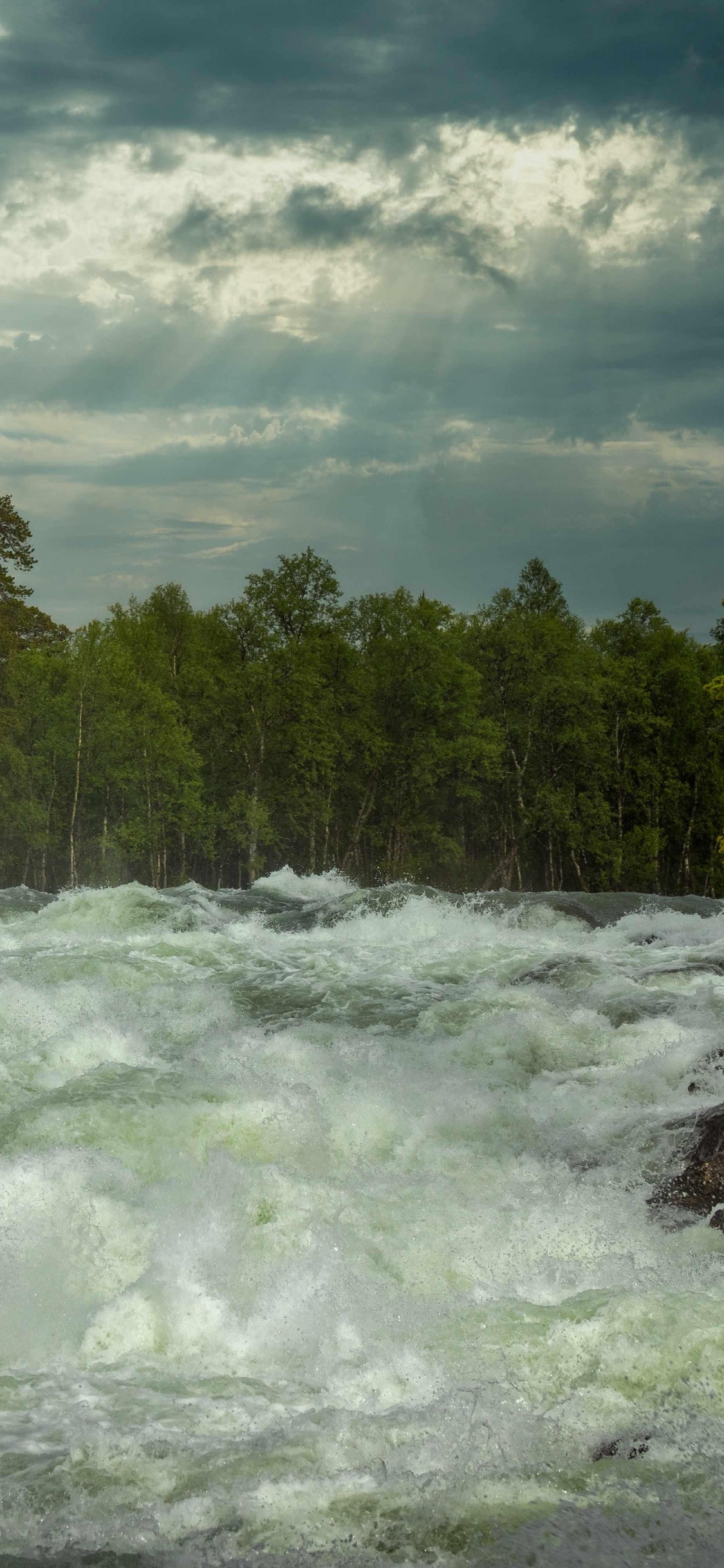 Natur, Norwegen, Cloud, Wasser, Baum. Wallpaper in 1125x2436 Resolution