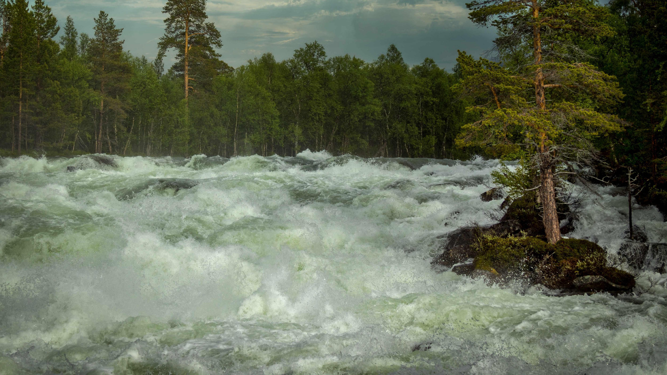 Natur, Norwegen, Cloud, Wasser, Baum. Wallpaper in 1366x768 Resolution