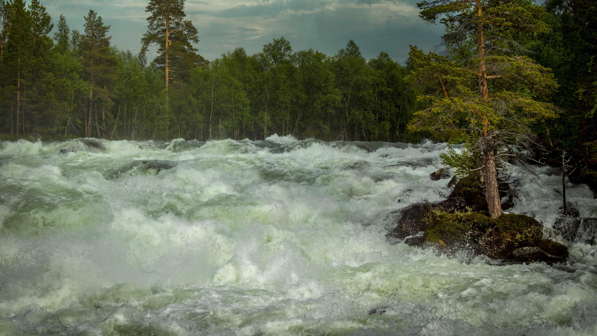 Natur, Norwegen, Cloud, Wasser, Baum. Wallpaper in 1920x1080 Resolution