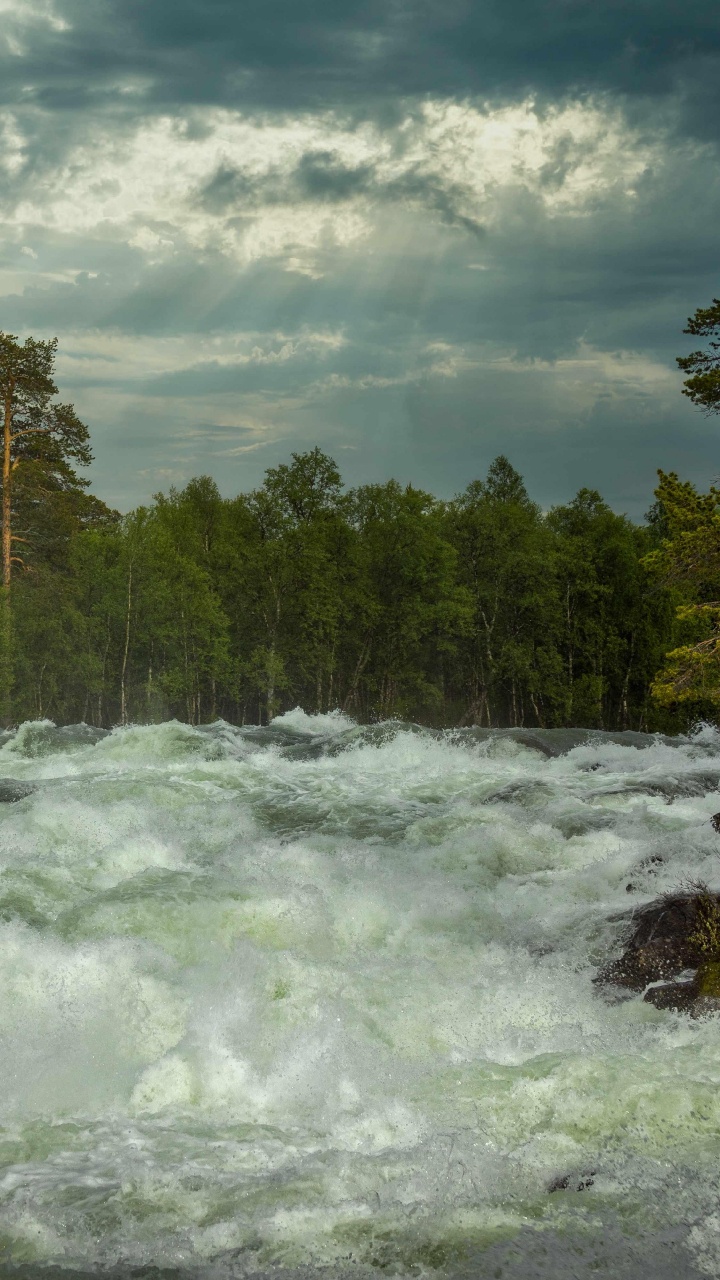 Natur, Norwegen, Cloud, Wasser, Baum. Wallpaper in 720x1280 Resolution