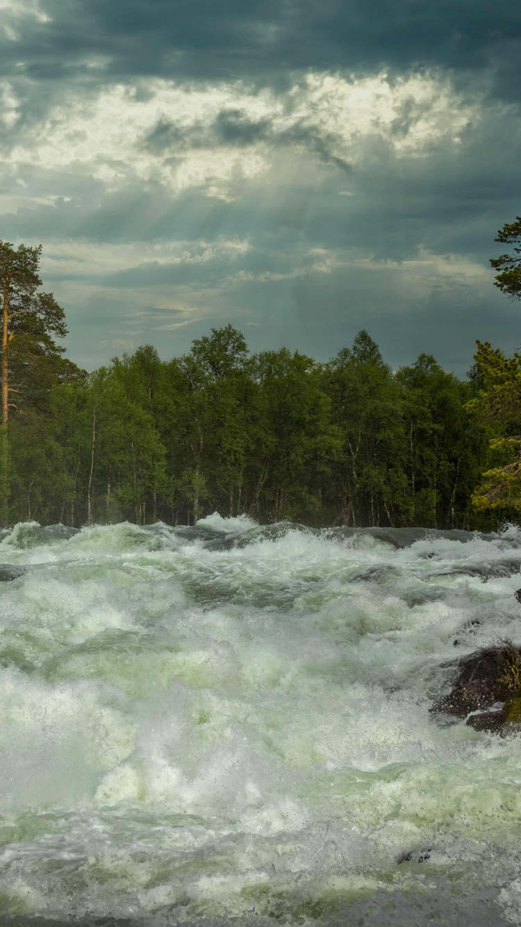 Natur, Norwegen, Cloud, Wasser, Baum. Wallpaper in 750x1334 Resolution