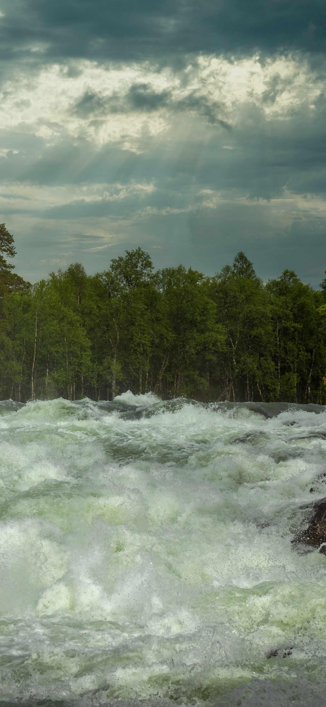 Nature, Norway, Cloud, Water, Tree. Wallpaper in 1242x2688 Resolution