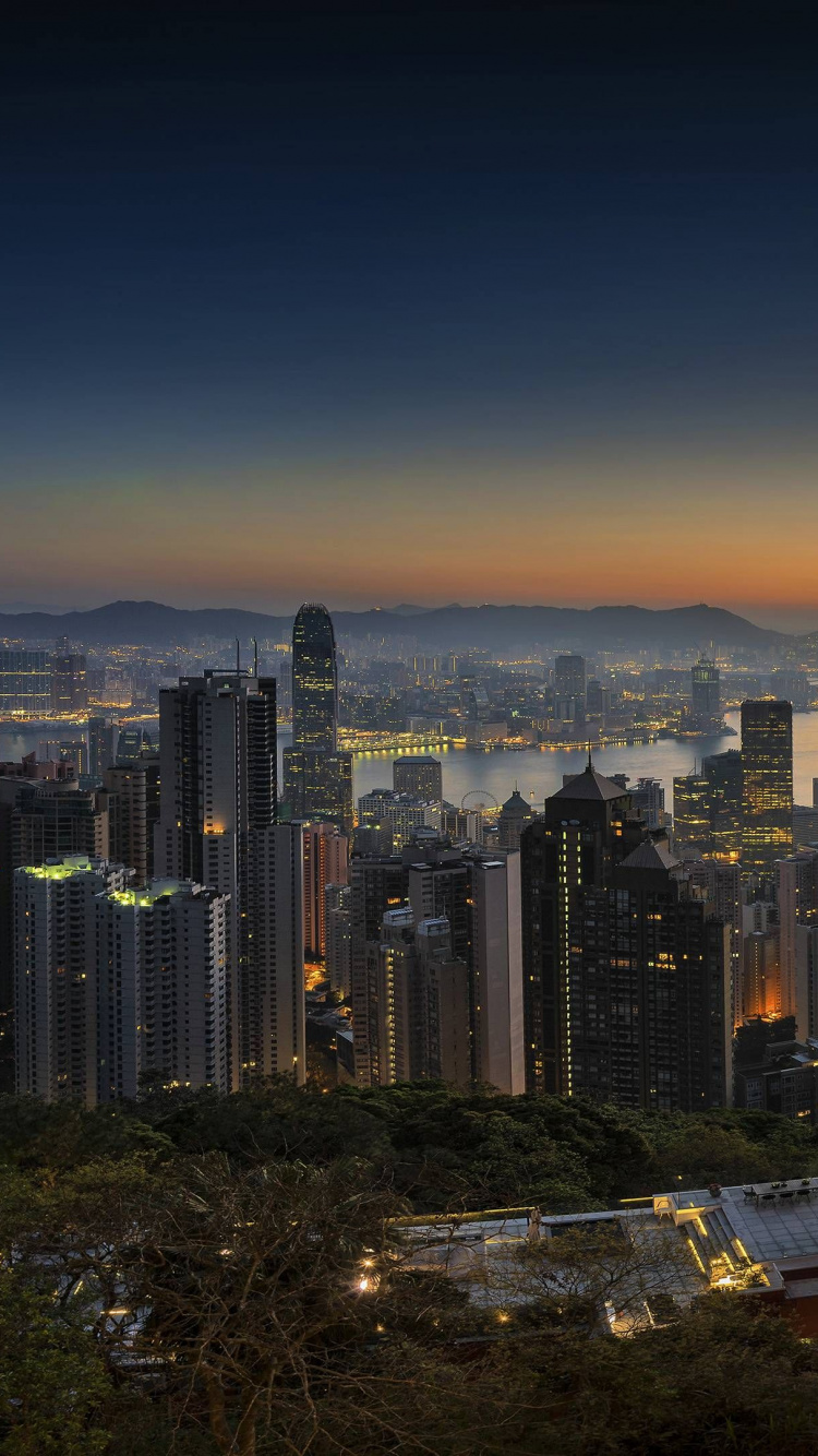 Horizon de la Ville Pendant la Nuit. Wallpaper in 750x1334 Resolution