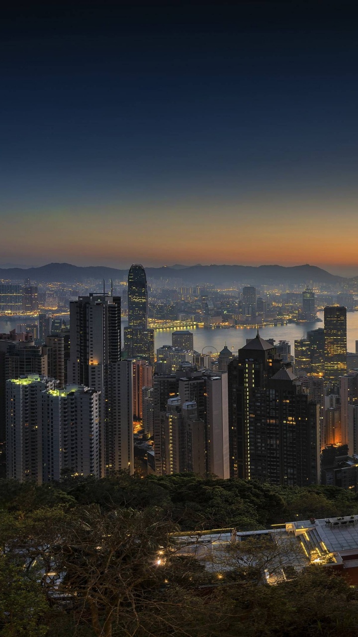 City Skyline During Night Time. Wallpaper in 720x1280 Resolution