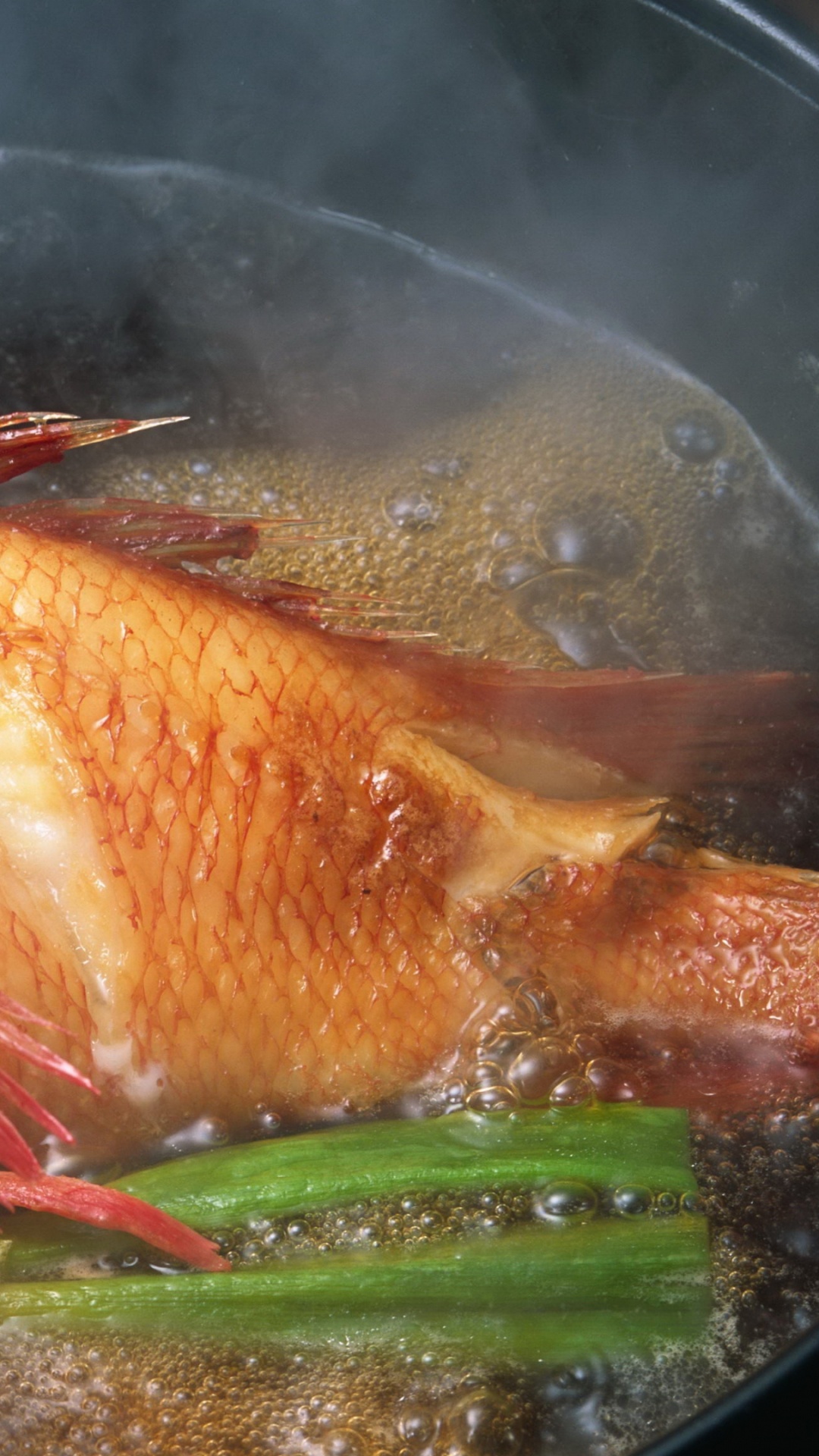 Orange and White Koi Fish. Wallpaper in 1080x1920 Resolution