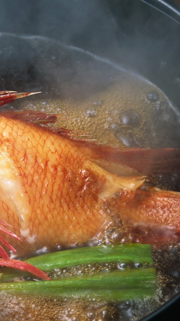 Oranger Und Weißer Koi-Fisch. Wallpaper in 720x1280 Resolution