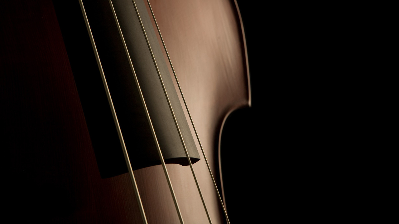 Contrabajo, Violonchelo, Bass Guitar, Instrumento de Cuerda, se Inclinó Instrumento de Cuerda. Wallpaper in 1280x720 Resolution