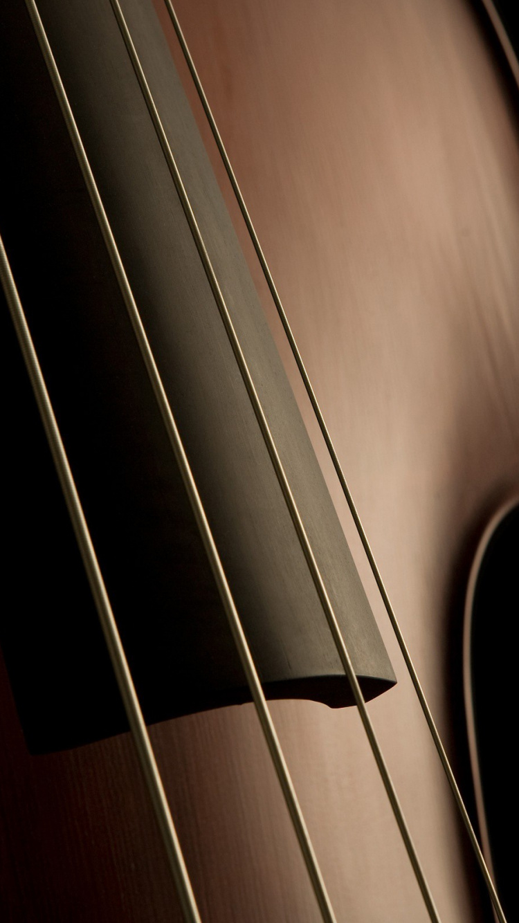 Contrabajo, Violonchelo, Bass Guitar, Instrumento de Cuerda, se Inclinó Instrumento de Cuerda. Wallpaper in 750x1334 Resolution