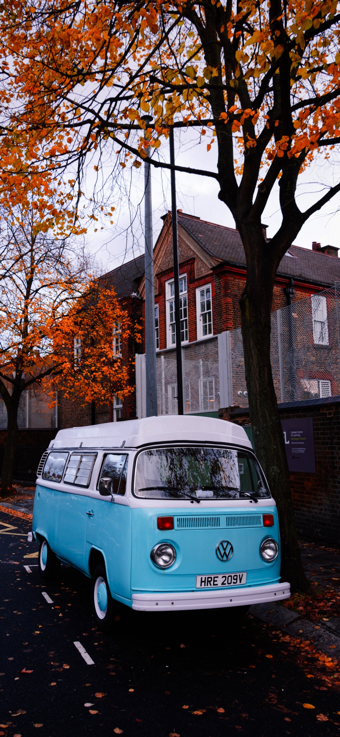 Baum, Panbers, Meine Liebe, Tire, Car. Wallpaper in 1125x2436 Resolution