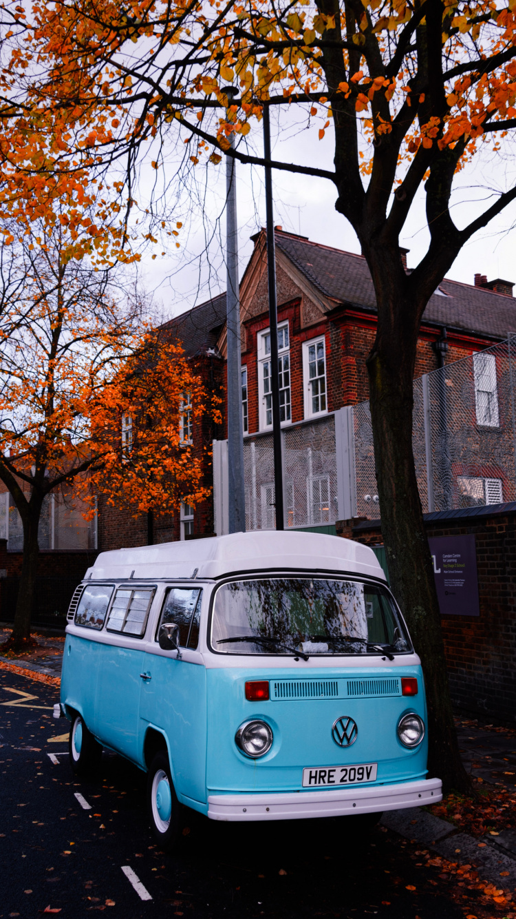 Baum, Panbers, Meine Liebe, Tire, Car. Wallpaper in 750x1334 Resolution