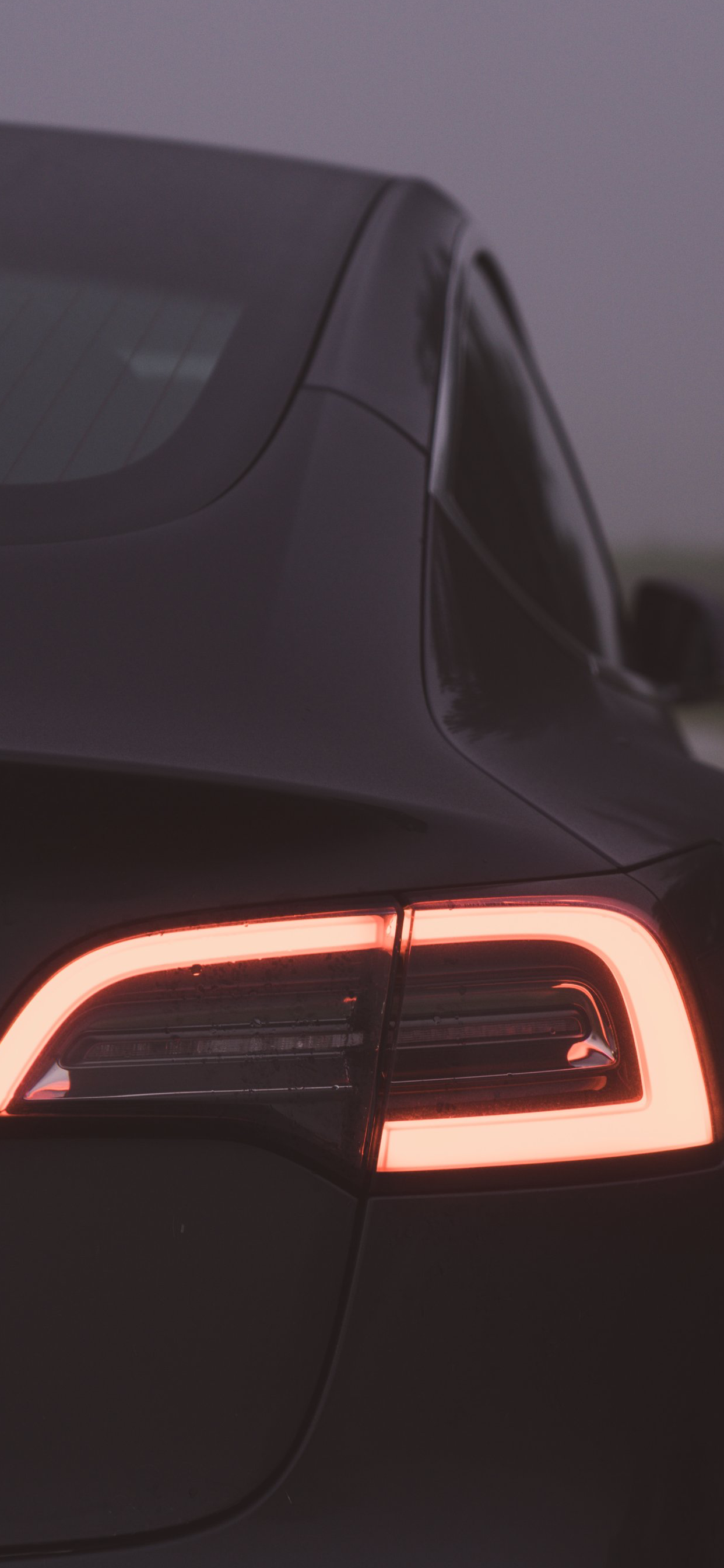 Tesla Model 3, Tesla, King, Tesla Model Y, Electric Car. Wallpaper in 1242x2688 Resolution