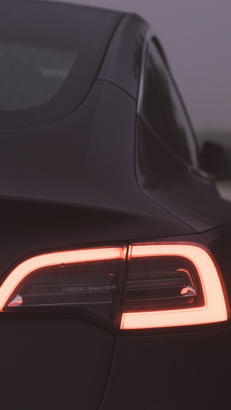 Tesla Model 3, Tesla, Rey, Tesla Model Y, Coche Eléctrico. Wallpaper in 750x1334 Resolution