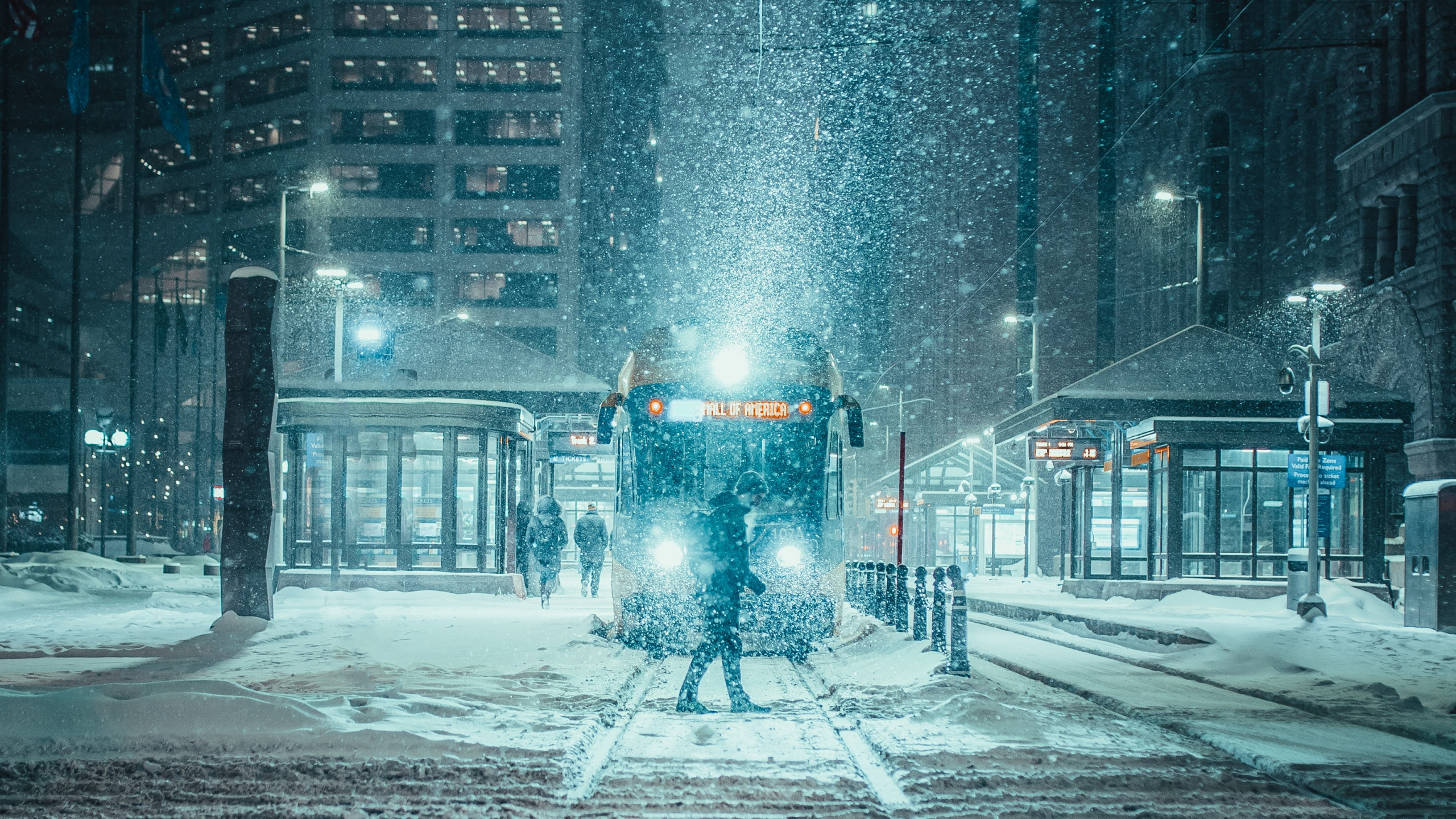 People Walking on Street During Night Time. Wallpaper in 2560x1440 Resolution