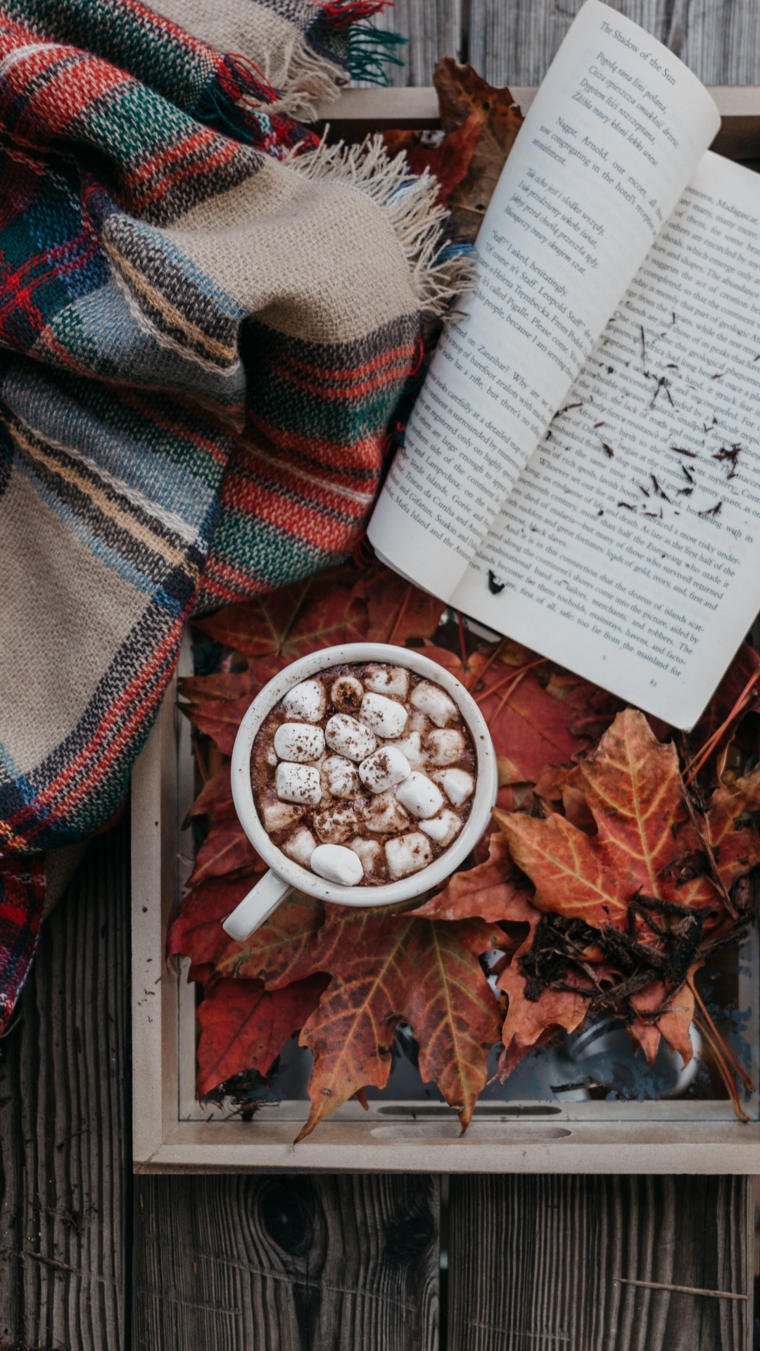 Weißes Buch Auf Braunem Holztisch. Wallpaper in 1080x1920 Resolution