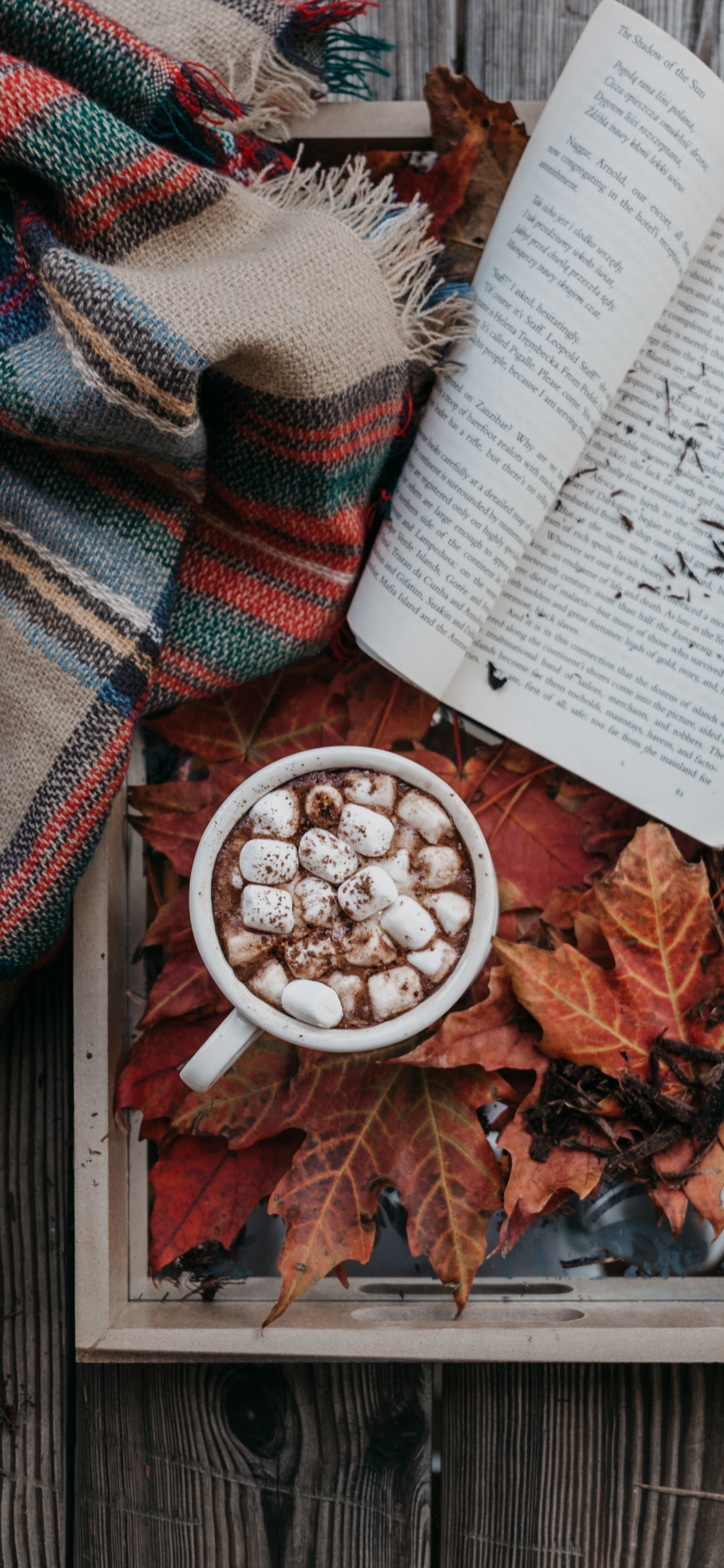 White Book on Brown Wooden Table. Wallpaper in 1125x2436 Resolution