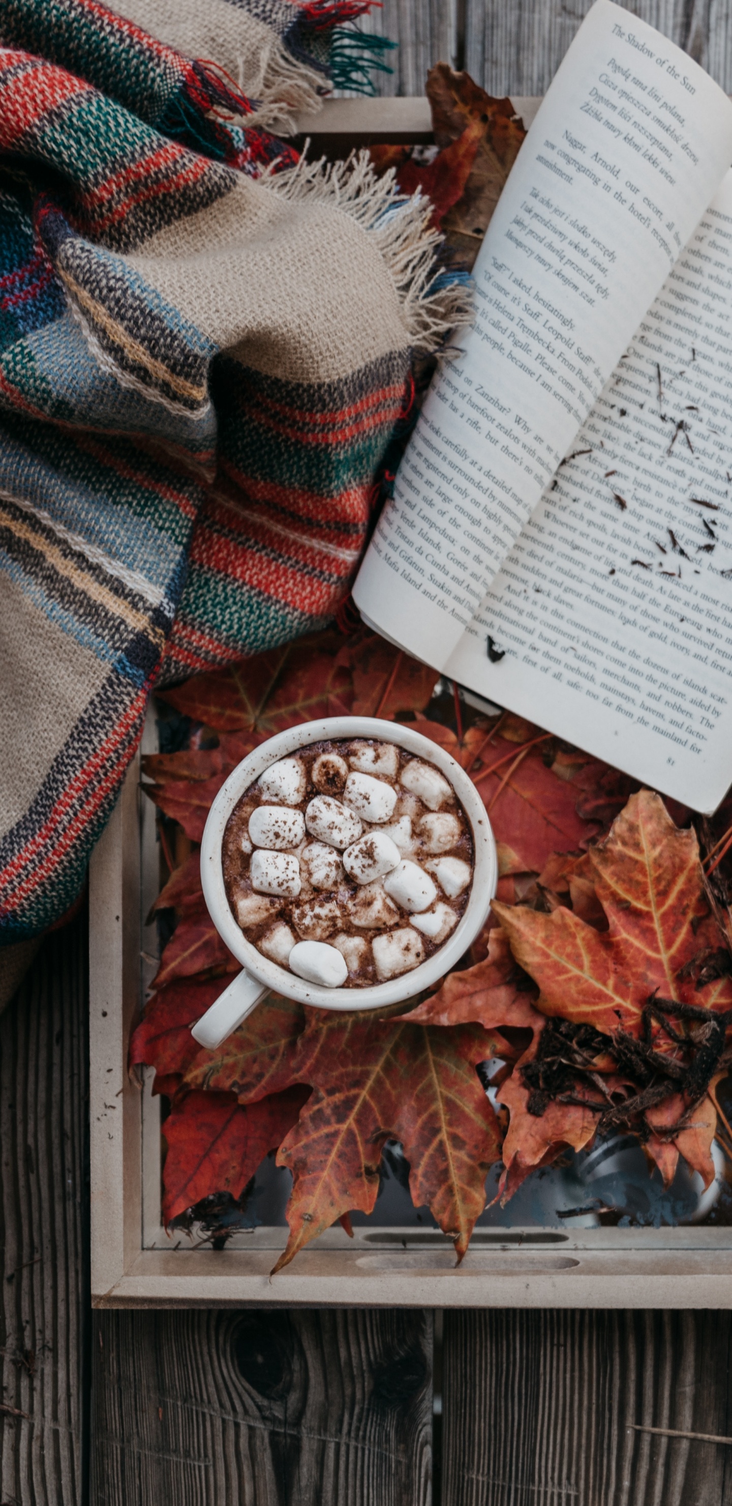 White Book on Brown Wooden Table. Wallpaper in 1440x2960 Resolution