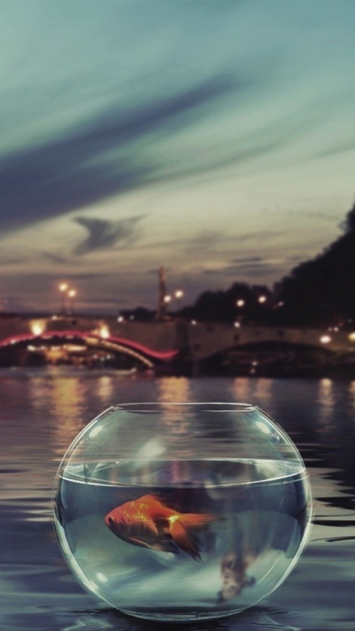 Woman in White Tank Top and White Shorts Sitting on Water. Wallpaper in 720x1280 Resolution