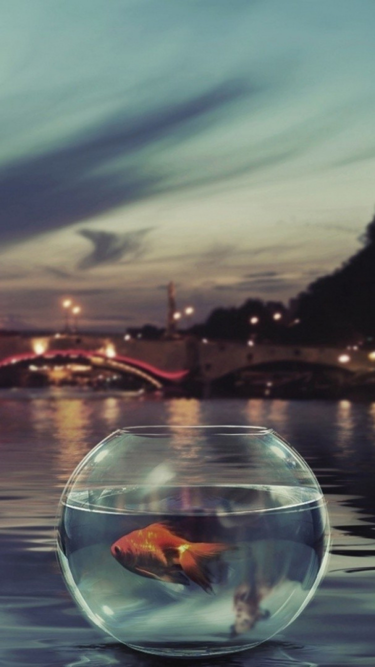 Woman in White Tank Top and White Shorts Sitting on Water. Wallpaper in 750x1334 Resolution