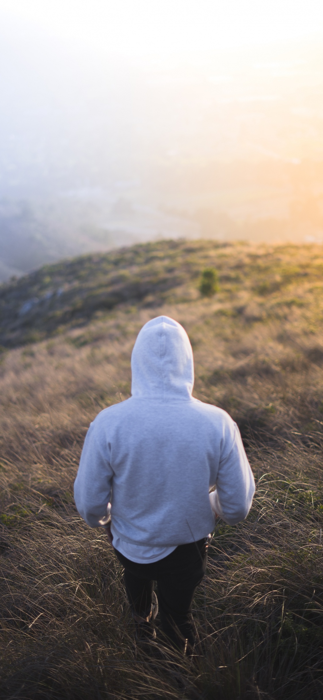 Person in Gray Hoodie Standing on Green Grass Field During Daytime. Wallpaper in 1125x2436 Resolution