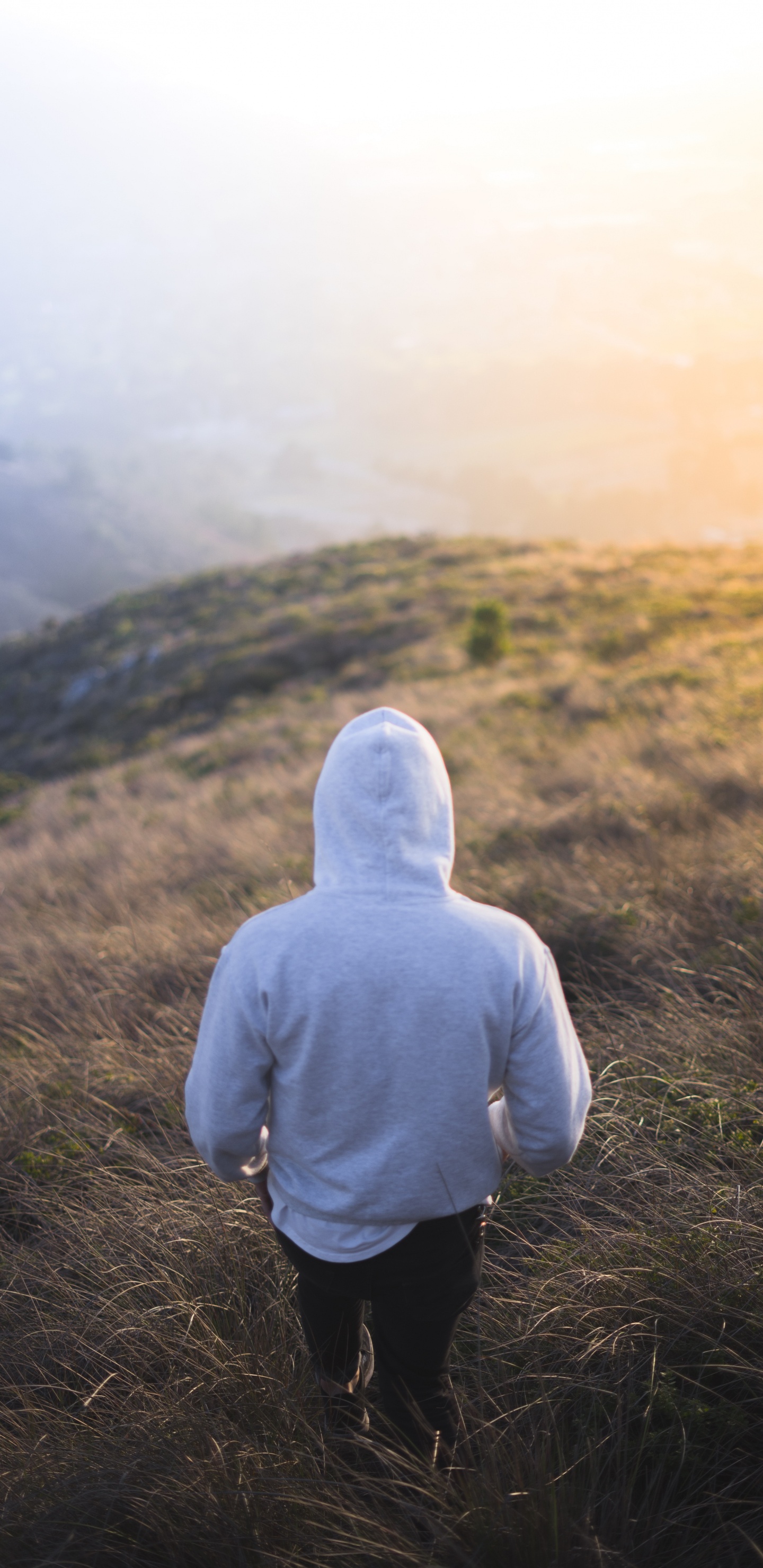 Person in Gray Hoodie Standing on Green Grass Field During Daytime. Wallpaper in 1440x2960 Resolution