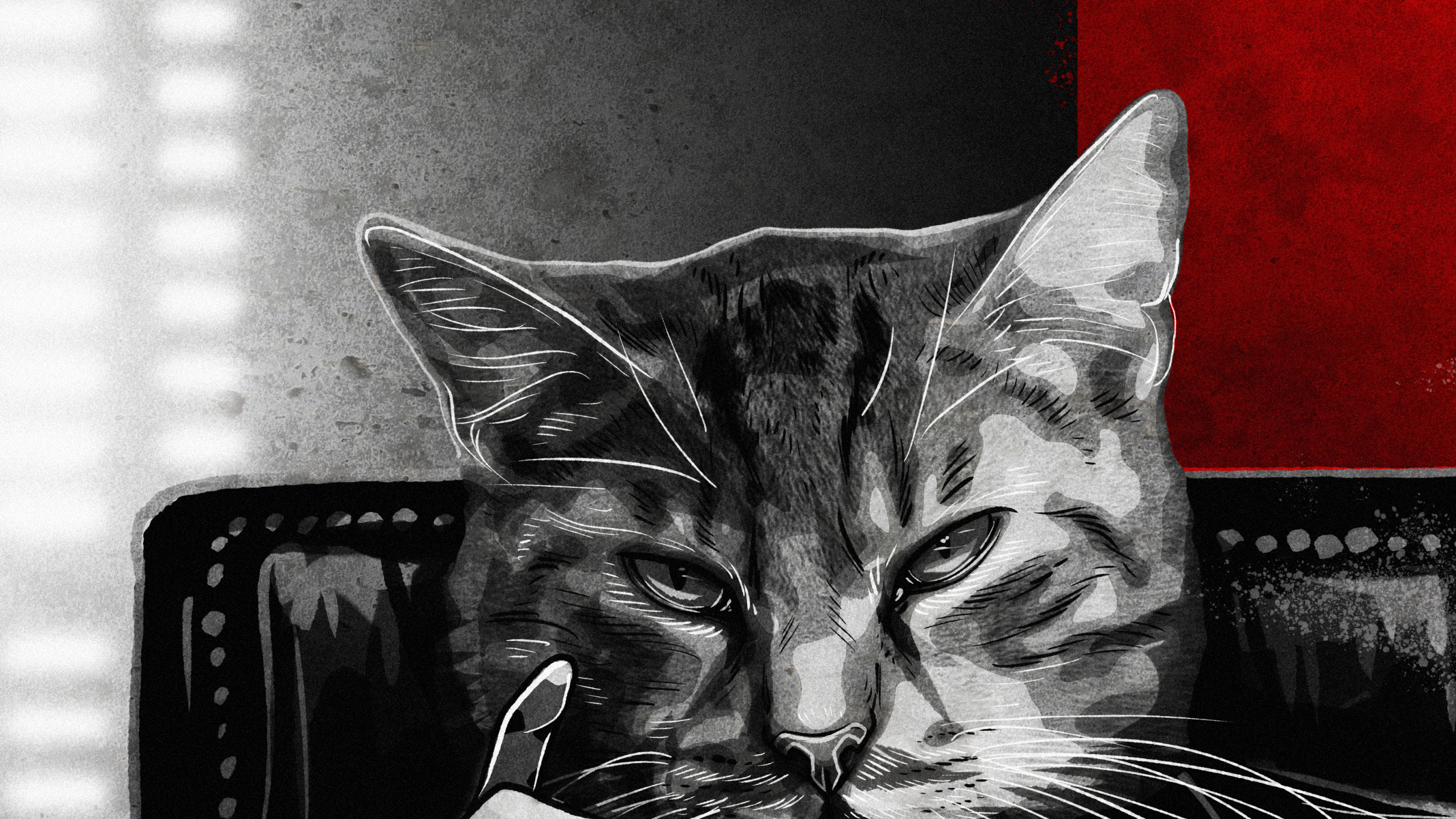 Cat, The Godfather, Michael Corleone, Vito Corleone, Cat in Suit. Wallpaper in 2560x1440 Resolution