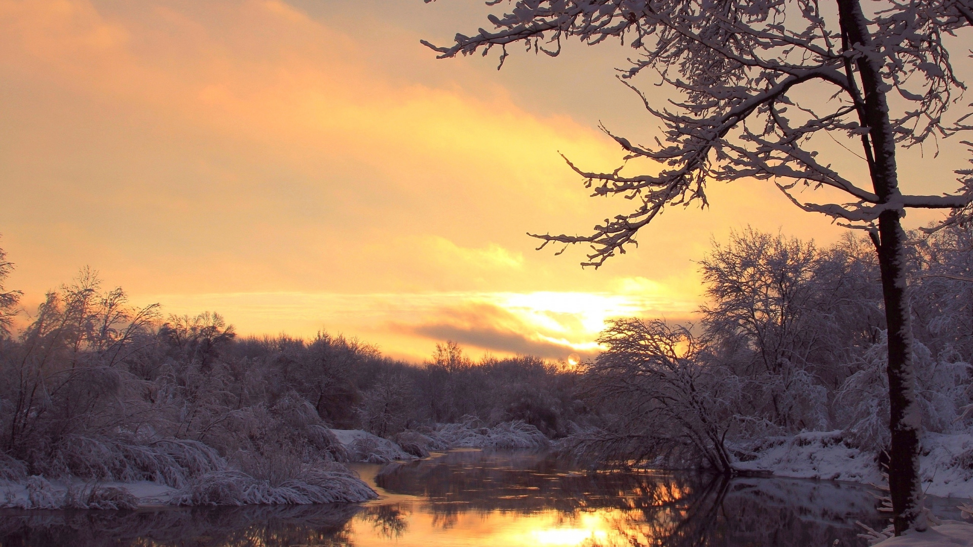 Leafless Trees Near Body of Water During Sunset. Wallpaper in 1920x1080 Resolution