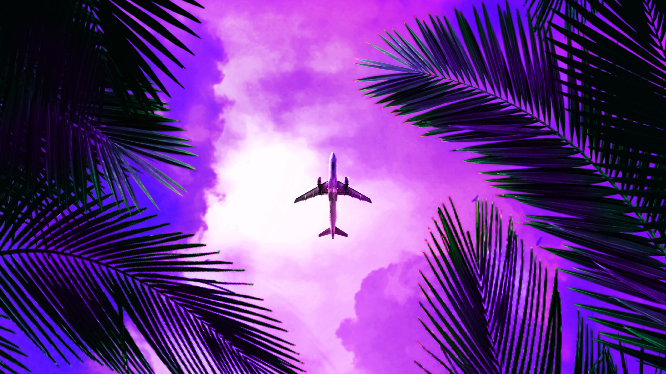 Morado, Luz, Naturaleza, Planta Terrestre, Rosa. Wallpaper in 1366x768 Resolution