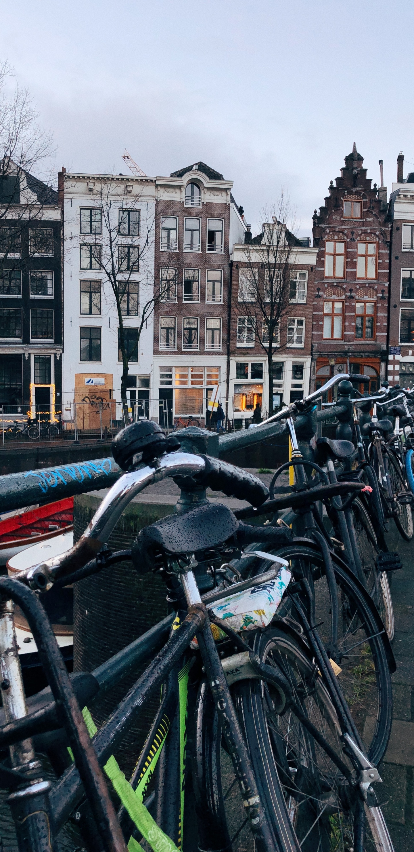 Amsterdam, Fahrradverleih, Hybrid Fahrrad, König, Radfahren. Wallpaper in 1440x2960 Resolution